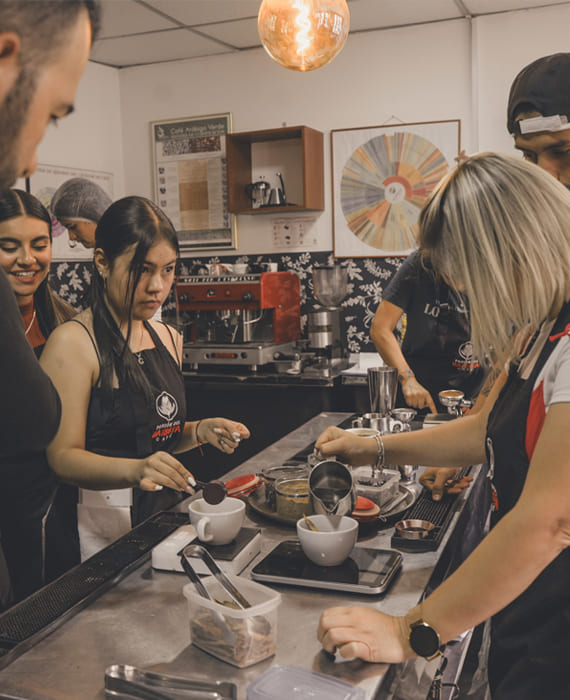 Academia Cursos Grupo Estudiantes