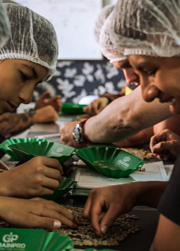 Academia Pasión del Barista Café, Cursos de Barismo