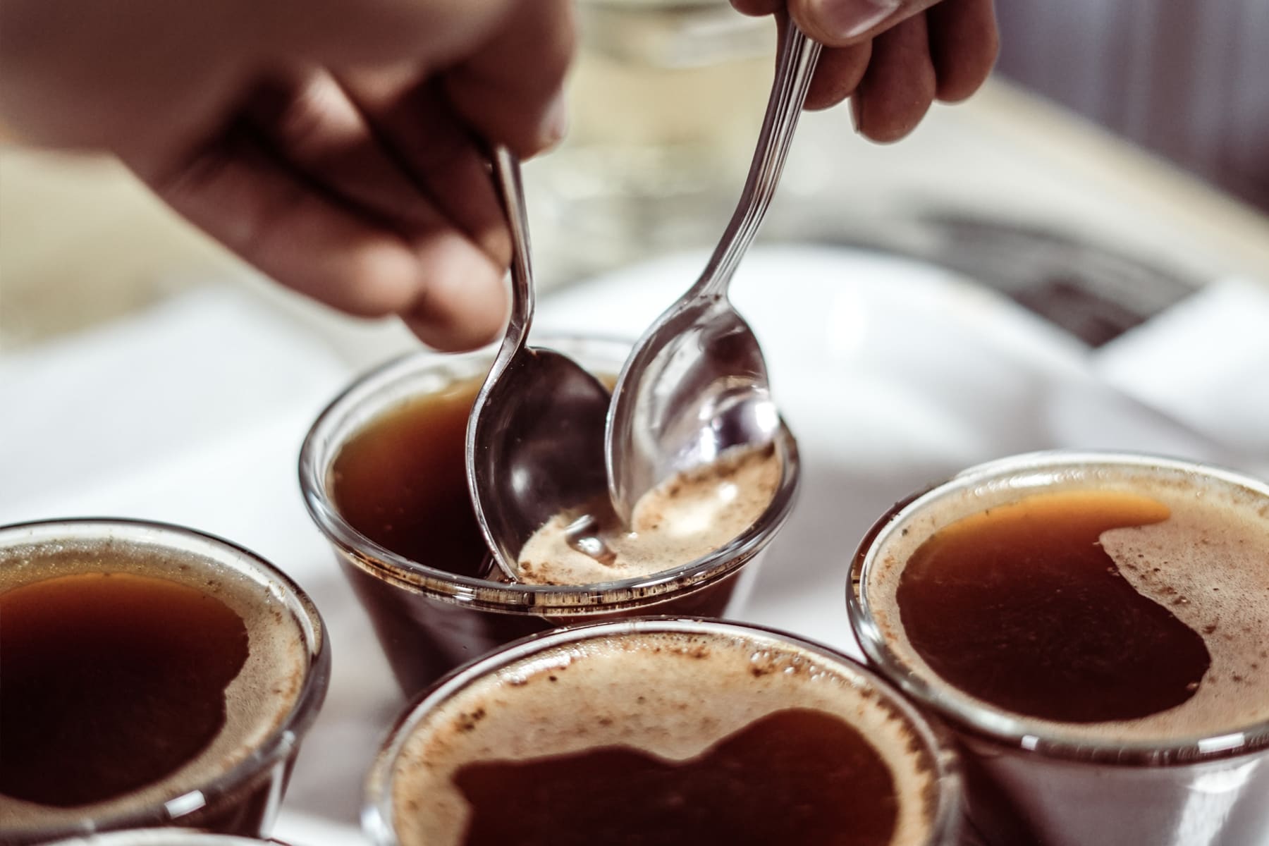 Academia Pasión del Barista Catación