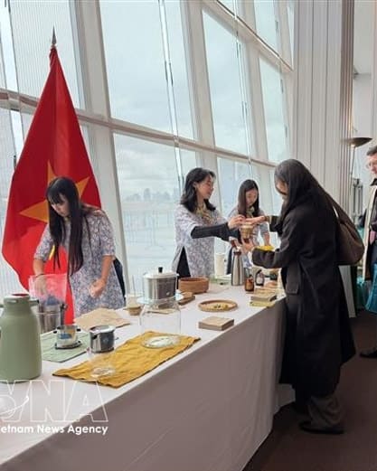 Vietnam respalda resolución de la ONU sobre Día Internacional del Café