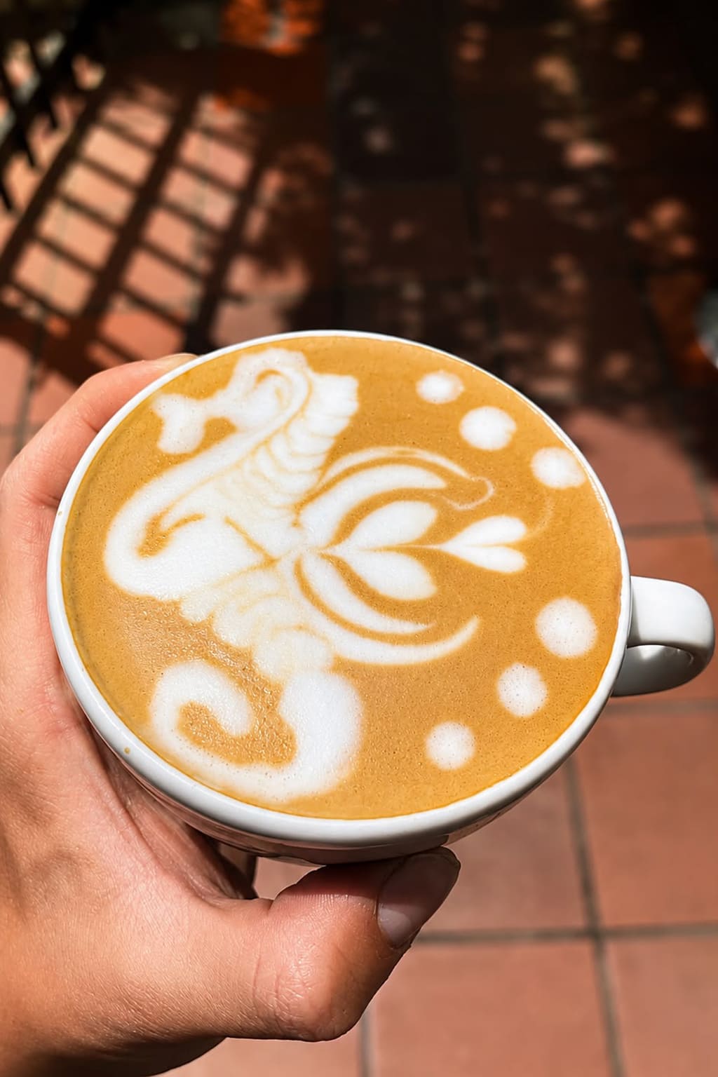 Academia Pasión del Barista Arte Latte