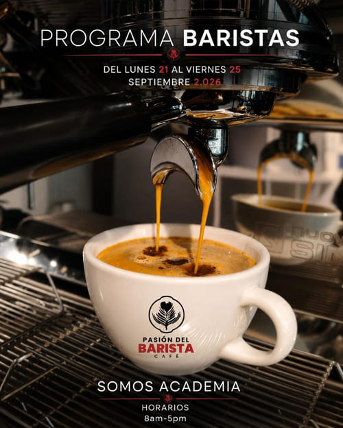Curso Barista Bogotá